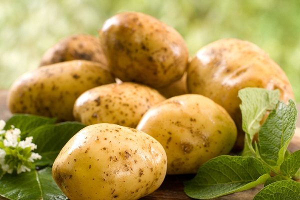 К чему снится картошка, сонник – картошка во сне
