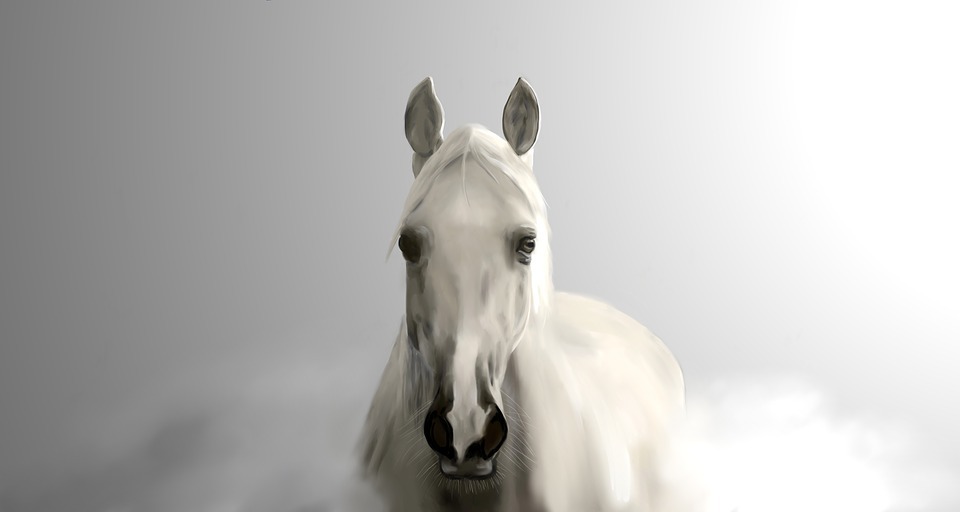 Сонник: конь или лошадь