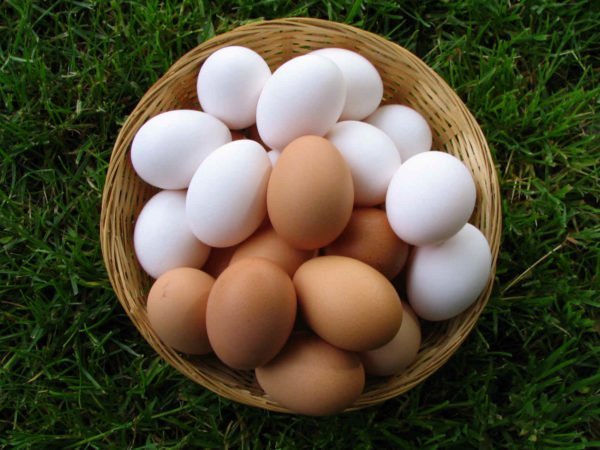 Корзинка с куриными яйцами