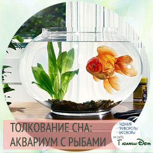 сонник аквариум с рыбами