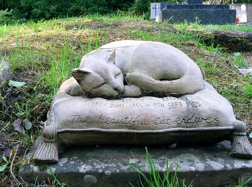 Кошка лежит на подушке - памятник