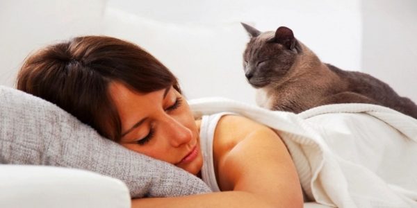 Женщина спит на белой постели с серой кошкой на спине