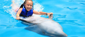 Играть с дельфином
