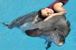 Наслаждаться общением с дельфином во сне