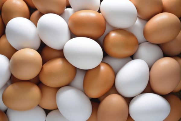 Большое количество куриных яиц