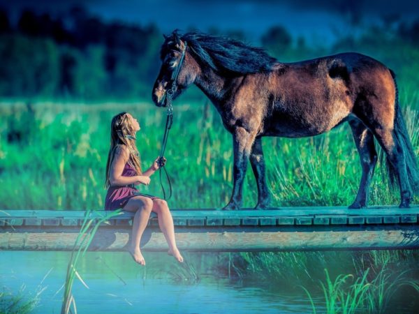 Девушка с лошадью на мосту