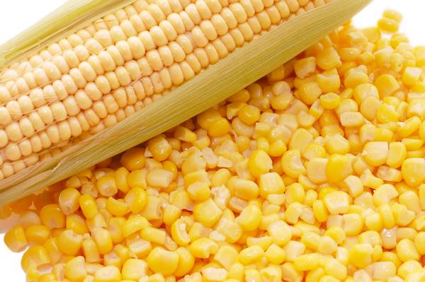 К чему снится кукуруза: толкования и значения сновидения