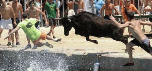 Сонник убегать от быка с рогами женщине