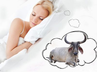 Женщине снится бык