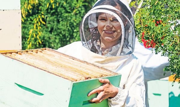 Женщина на пасеке собирает мёд